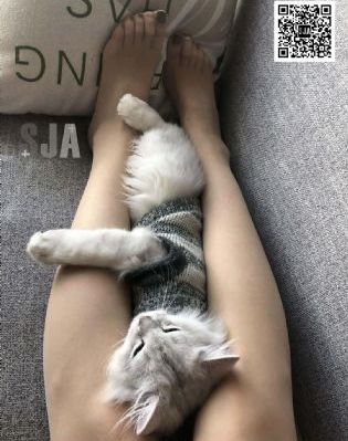 再世追魂_BD电影免费在线